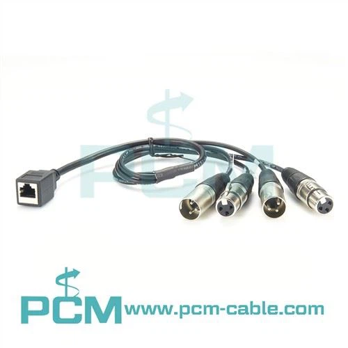 4-Channel Audio Snake RJ45 Female to XLR 2 Males to 2 Females.