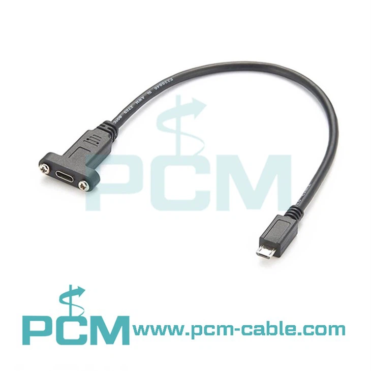 האם אתה יכול לחבר USB-C ליציאת USB?